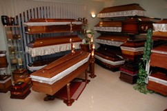 Lapidaris