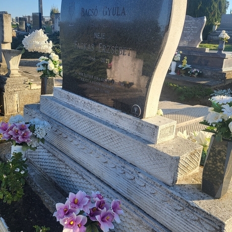 Bacsó  Gyula